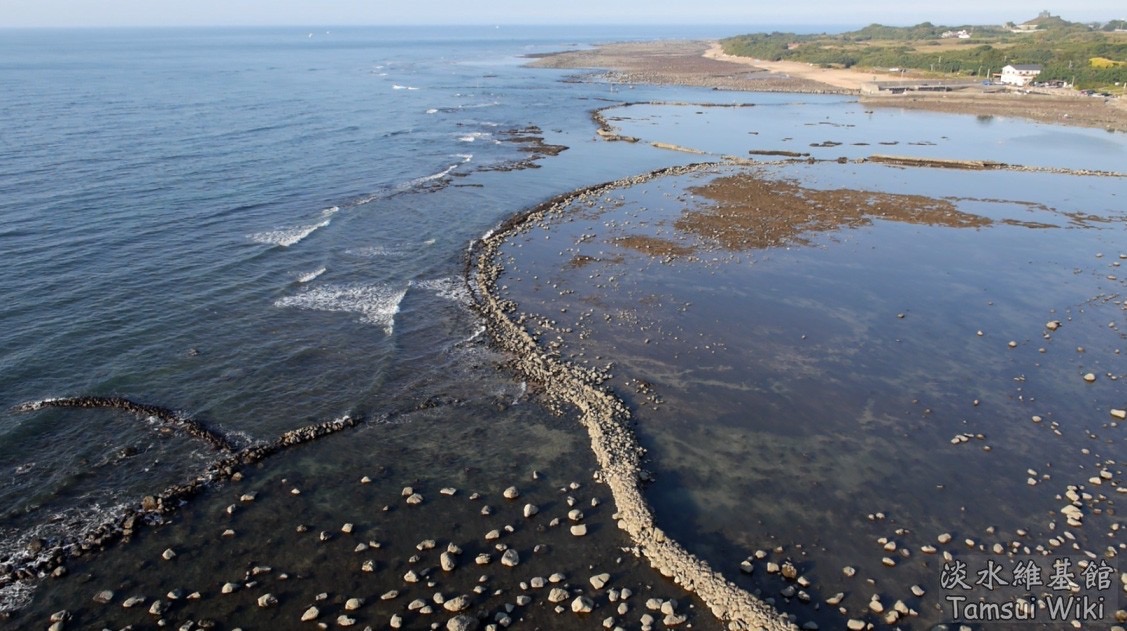 淡金石滬群與海洋生態