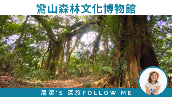 【鸞山森林文化博物館】一睹會走路的樹，深度部落文化之旅！