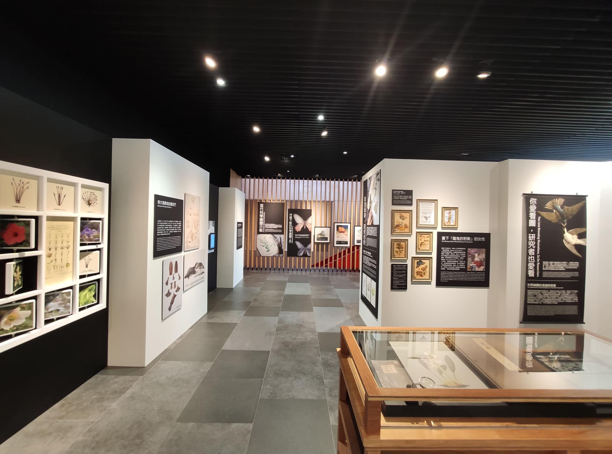 「繪自然-博物畫裡的臺灣特展」在臺南市立圖書館新總館繁盛開展