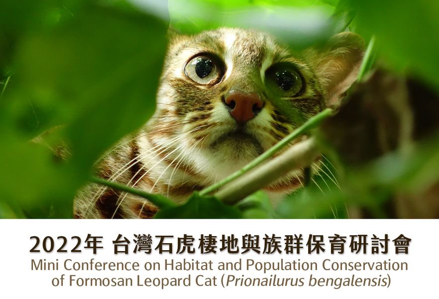 野生動物生命教育楷模：台灣石虎保育協會  守護動物的前線典範