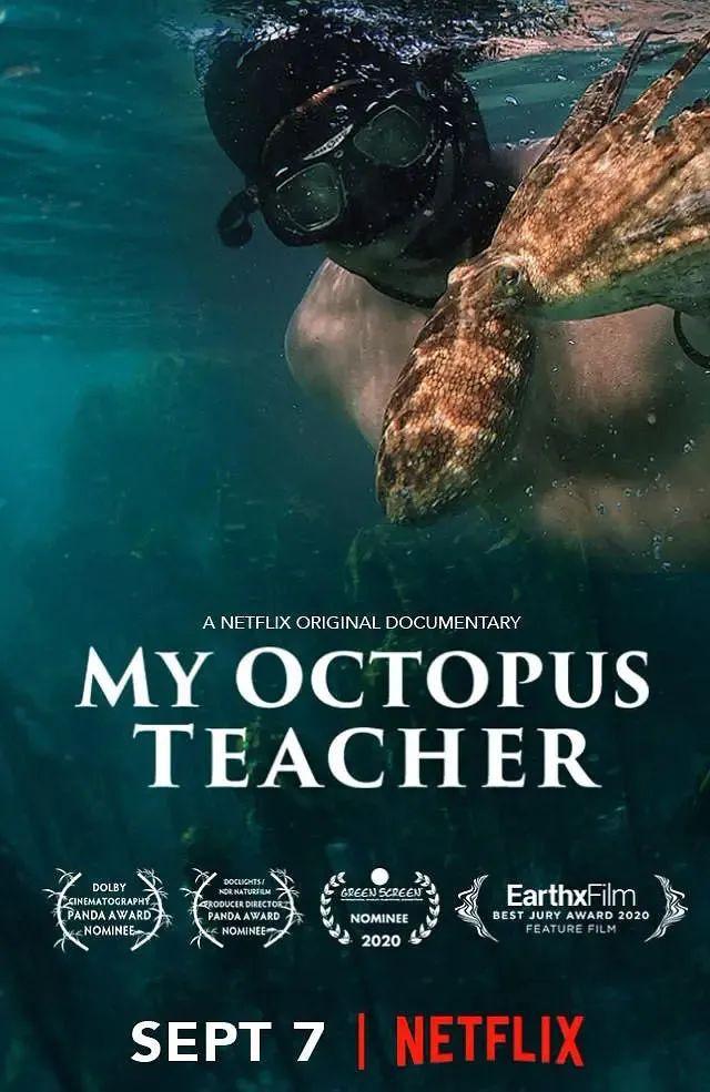 聊聊紀錄片——《我的章魚老師》