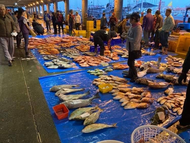 魚類學者帶大家逛魚市場
