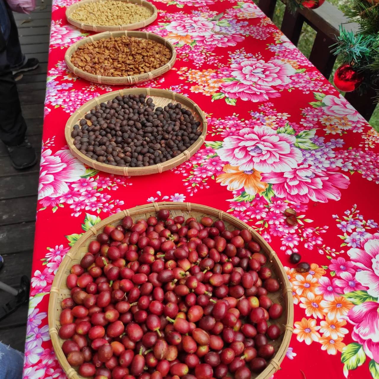 關西馬武督咖啡節，帶動客庄農村新經濟