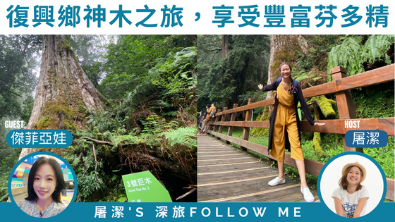 【桃園旅遊】復興鄉神木之旅，探訪全台最大的紅檜森林區！