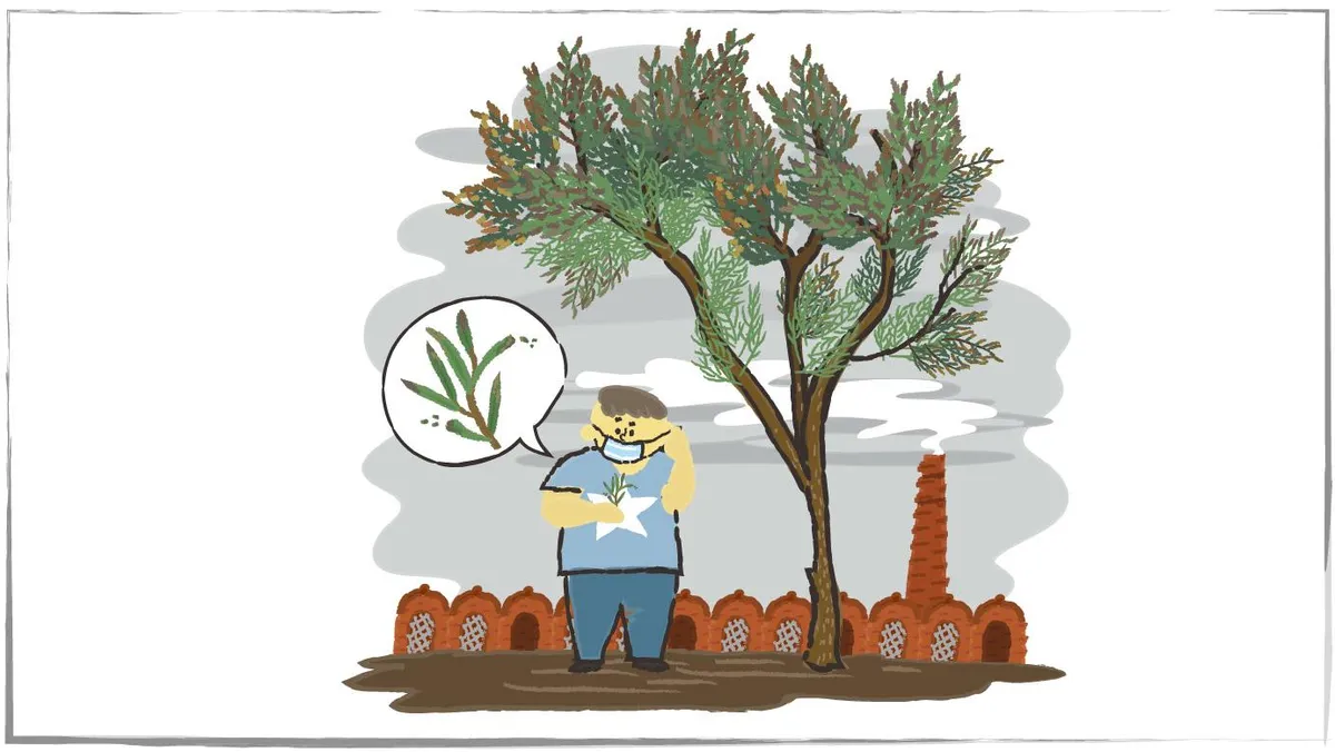 植物可以預警空汙和地震？