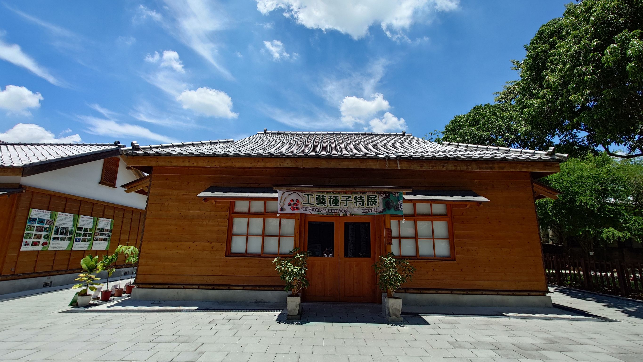 嘉義樹木園「臺灣常見工藝植物種子」特展