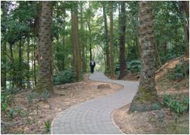 嘉義樹木園--國家植物園方舟計畫場域
