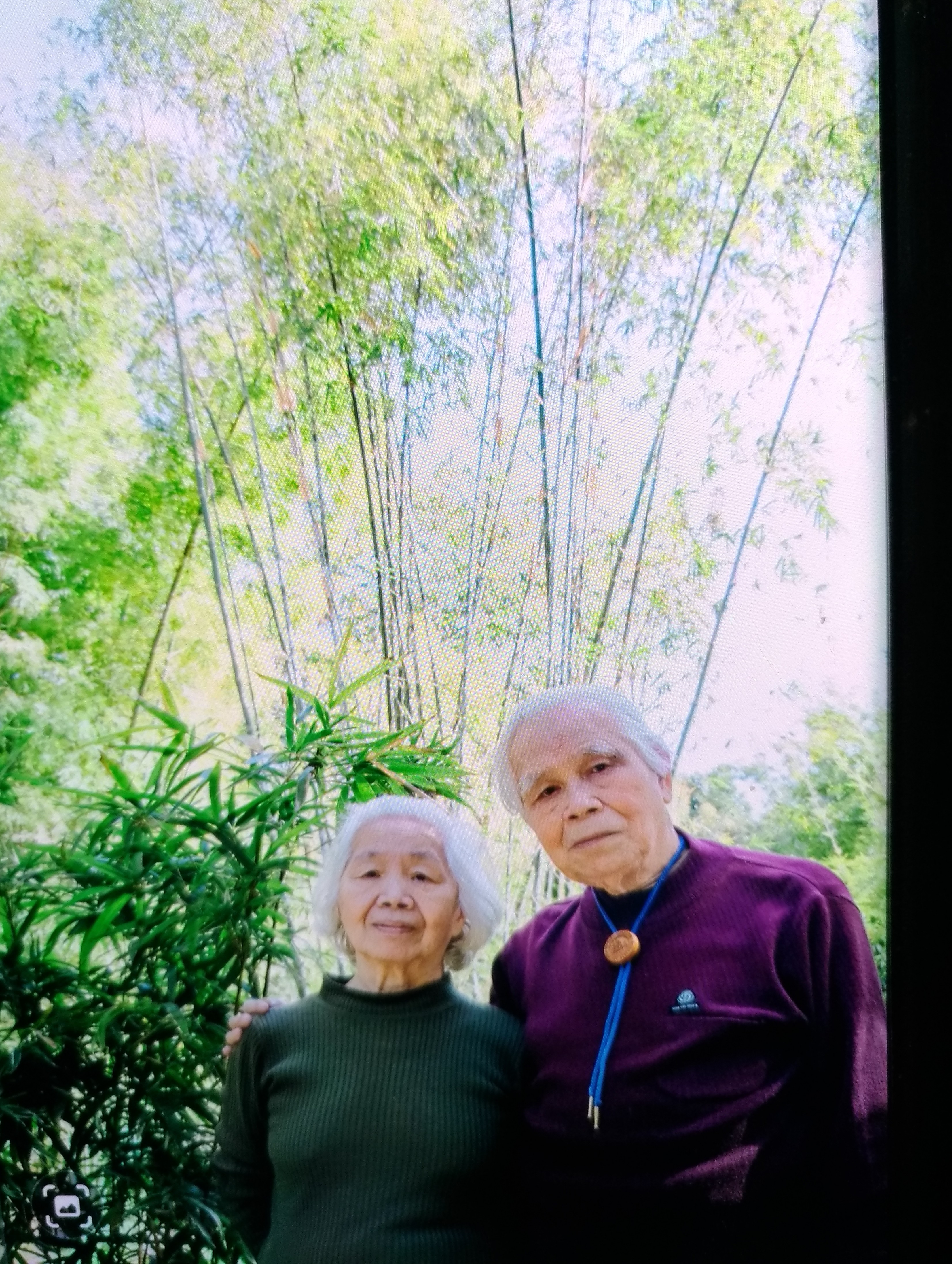 戀戀臺灣