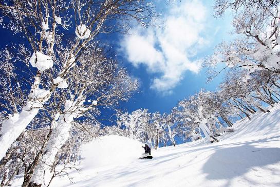 日本工作假期 『百萬滑雪特派員』徵選開跑！
