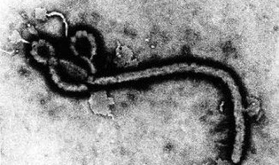 差3天宣告疫情結束 民主剛果再添伊波拉病例