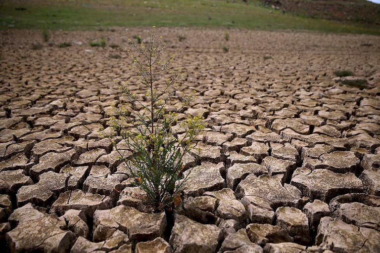 7年來頭一遭 加州宣佈全面解除乾旱