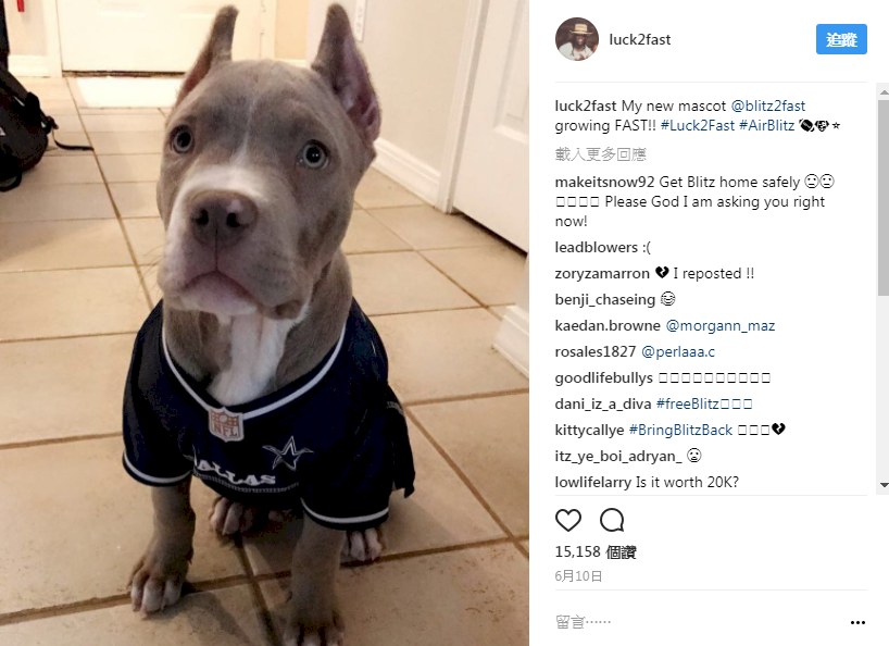NFL球員分享照片 愛犬竟遭綁架勒贖