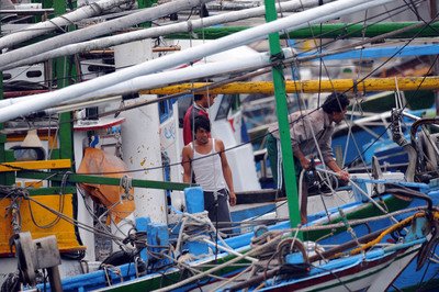 保勞權 鮪魚、魷秋公會與印尼漁工工會設工作小組