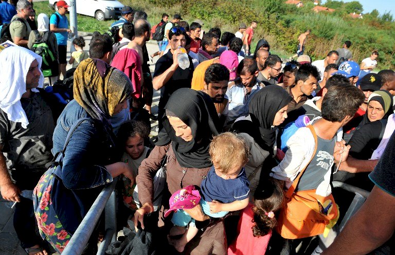 難民危機後 德淨移民人數銳減逾半