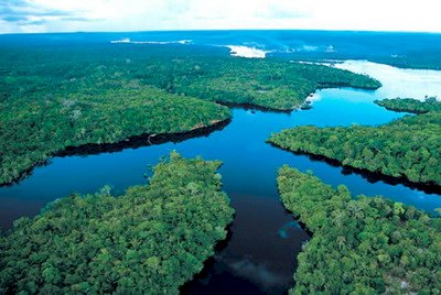 亞馬遜伐林面積1年減21%