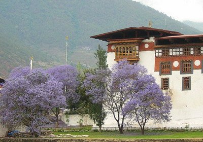 遏止疫情 不丹首度下令全國封鎖