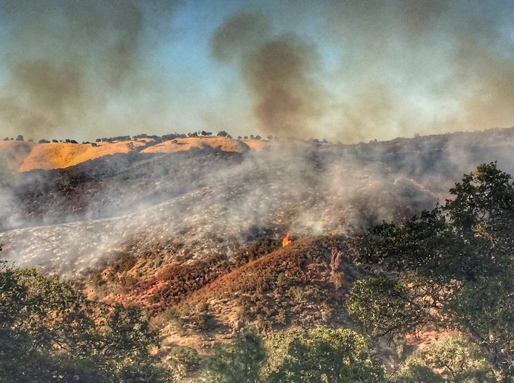 頂38度高溫 消防員控制加州野火有成