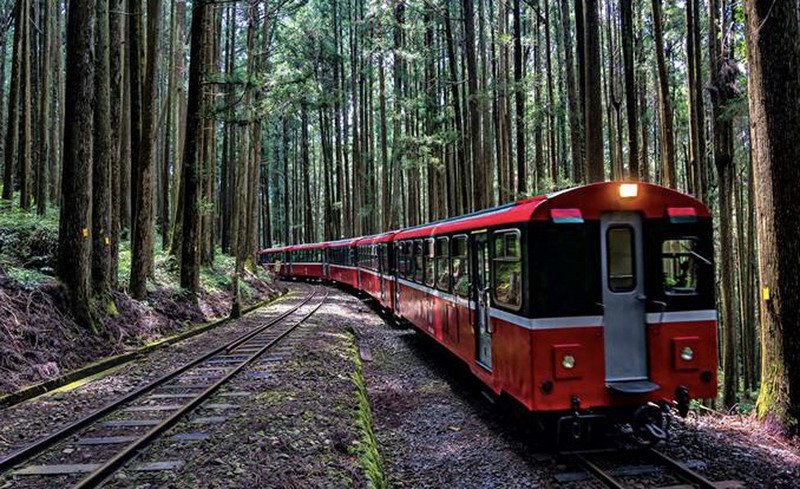阿里山森鐵郵輪列車 10月起入水山支線