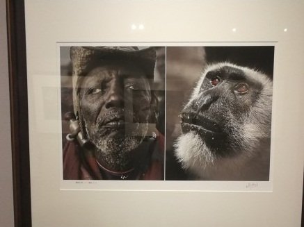 非洲人與動物並列 中國非洲攝影展惹議