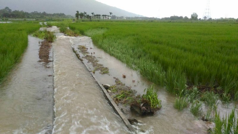 豪雨致農業災損現金救助 擬9月底前發完