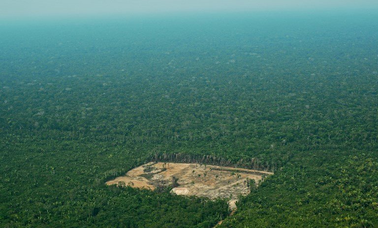2017全球森林消失幾創記錄 面積如義大利