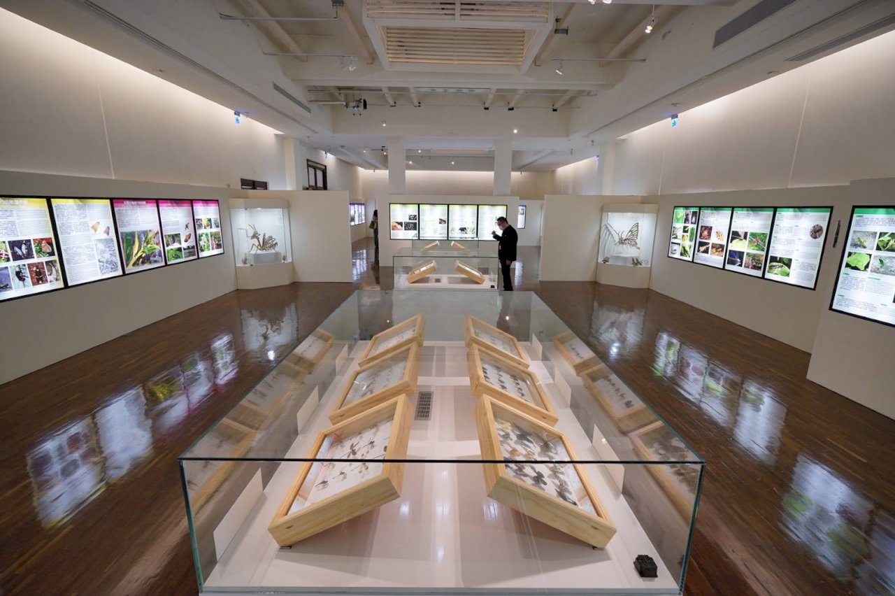 台博館更新常設展 重訪台灣博物學家年代