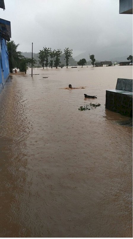 熱帶氣旋襲印尼 11人喪生
