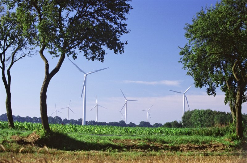 德陸上風力發電價格重挫 每度僅1.4元