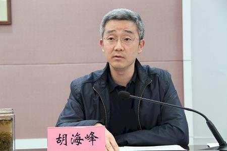 胡海峰任中國民政部副部長 陸網友關注