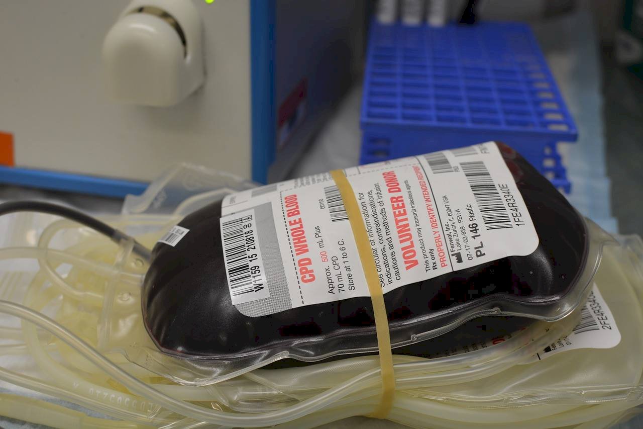 男同志捐血 法維持1年不可性行為規定