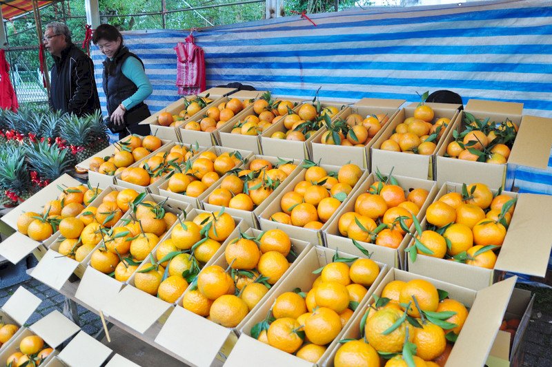 農委會：棗子桶柑水果 春節供應無虞
