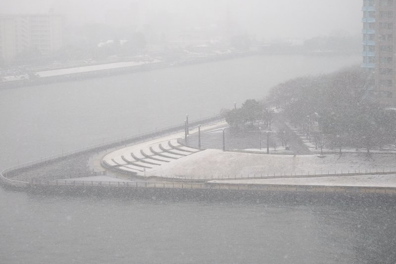 東京降大雪 部分河濱公園積雪