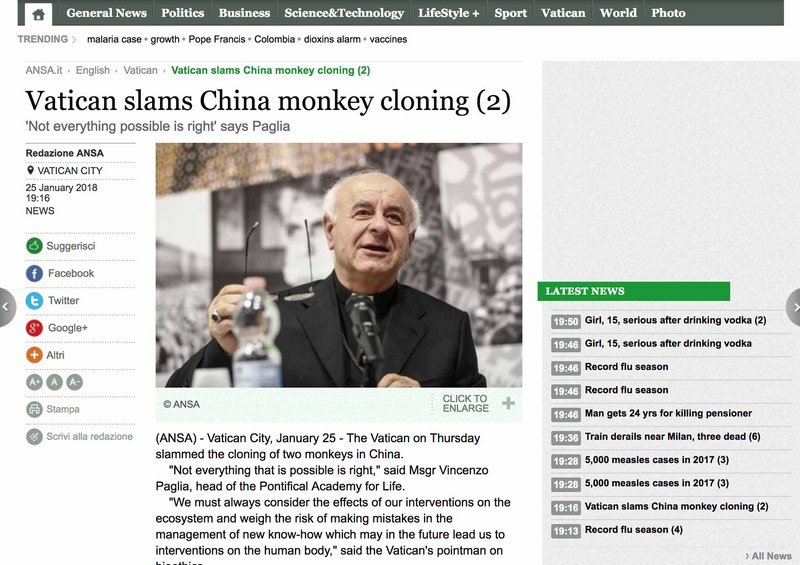 中國成功複製猴 梵蒂岡評未必正確