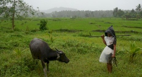 捨命養家 菲律賓農夫闖馬永火山禁區