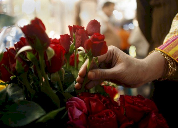 情人節花卉商機 紓解哥倫比亞失業人口