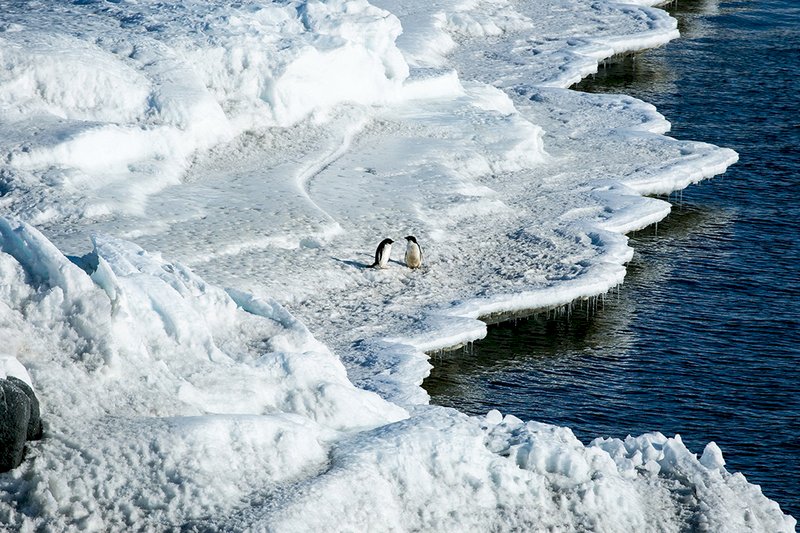 南極海冰面積偏離成長趨勢 達史上次低