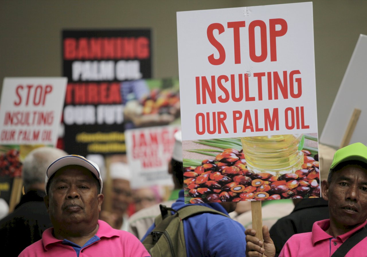 歐盟禁棕櫚油進口 印尼：考慮以牙還牙