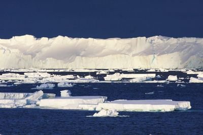 南極海冰面積縮至190萬平方公里 創逾40年最低