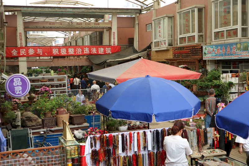 人口嚴控不停歇 上海花鳥市場連關3座