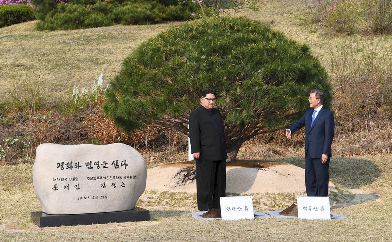南北韓水土合一 兩位領導人共同植樹