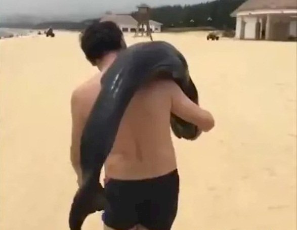 中國五一假期 遊客疑抓到海豚直接扛走