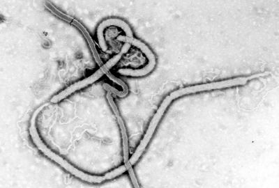 WHO：完美風暴威脅民主剛果伊波拉防疫
