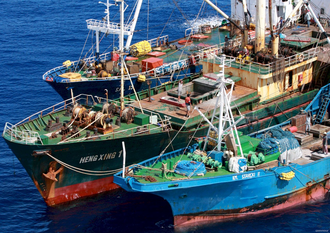NGO提台遠洋漁業調查 漁業署：遺憾