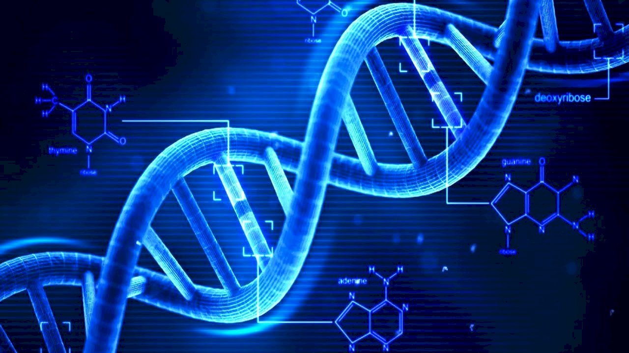 顛覆學界認知 中研院發現「必要基因」可快速改變