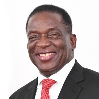 辛巴威總統大選官方結果 姆南加瓦勝選