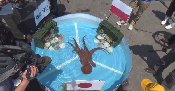 日本章魚世足賽預測神準 還是被煮上桌