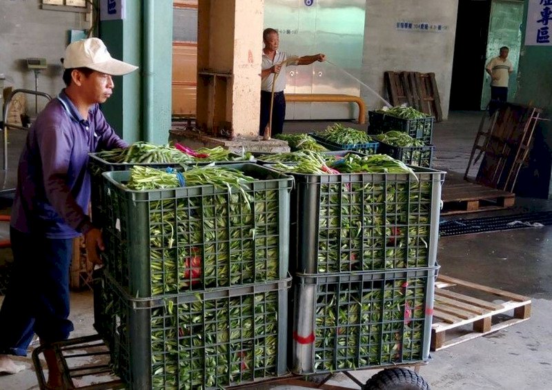 颱風拉抬低迷紅龍果、蕉價 最高漲幅逾5成