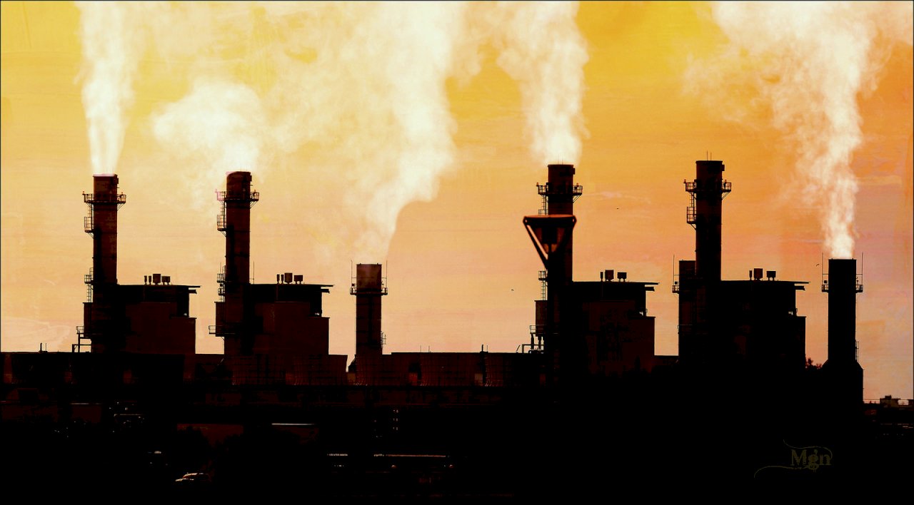 保護地球 慕尼黑再保減少投資煤行業