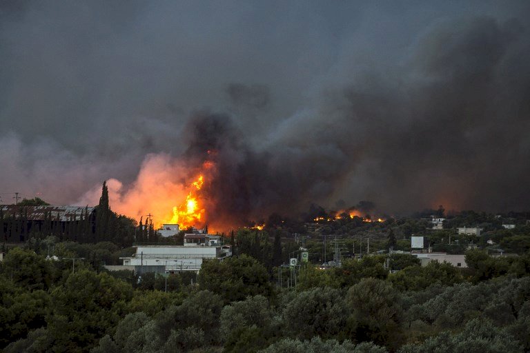 熱浪侵襲歐洲國家 野火肆虐造成傷亡