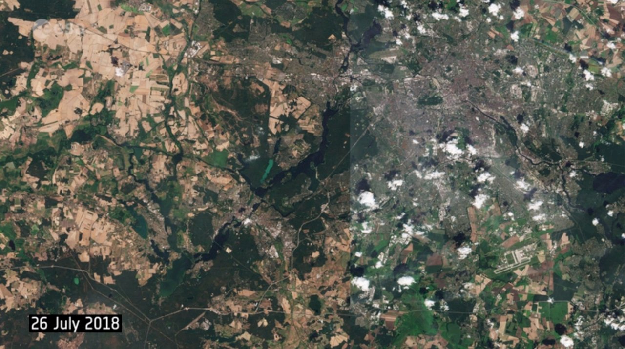 德國熱到衛星照變色 柏林綠地變赤地